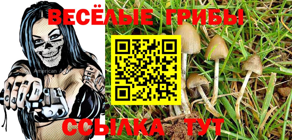 Псилоцибиновые грибы Psilocybe Миллерово