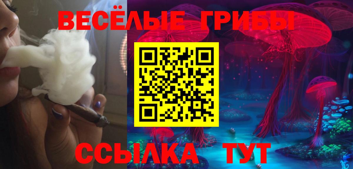 продажа наркотиков  Псилоцибиновые грибы прущие грибы  Миллерово  Вход с VPN  Галлюциногенные грибы мухоморы 